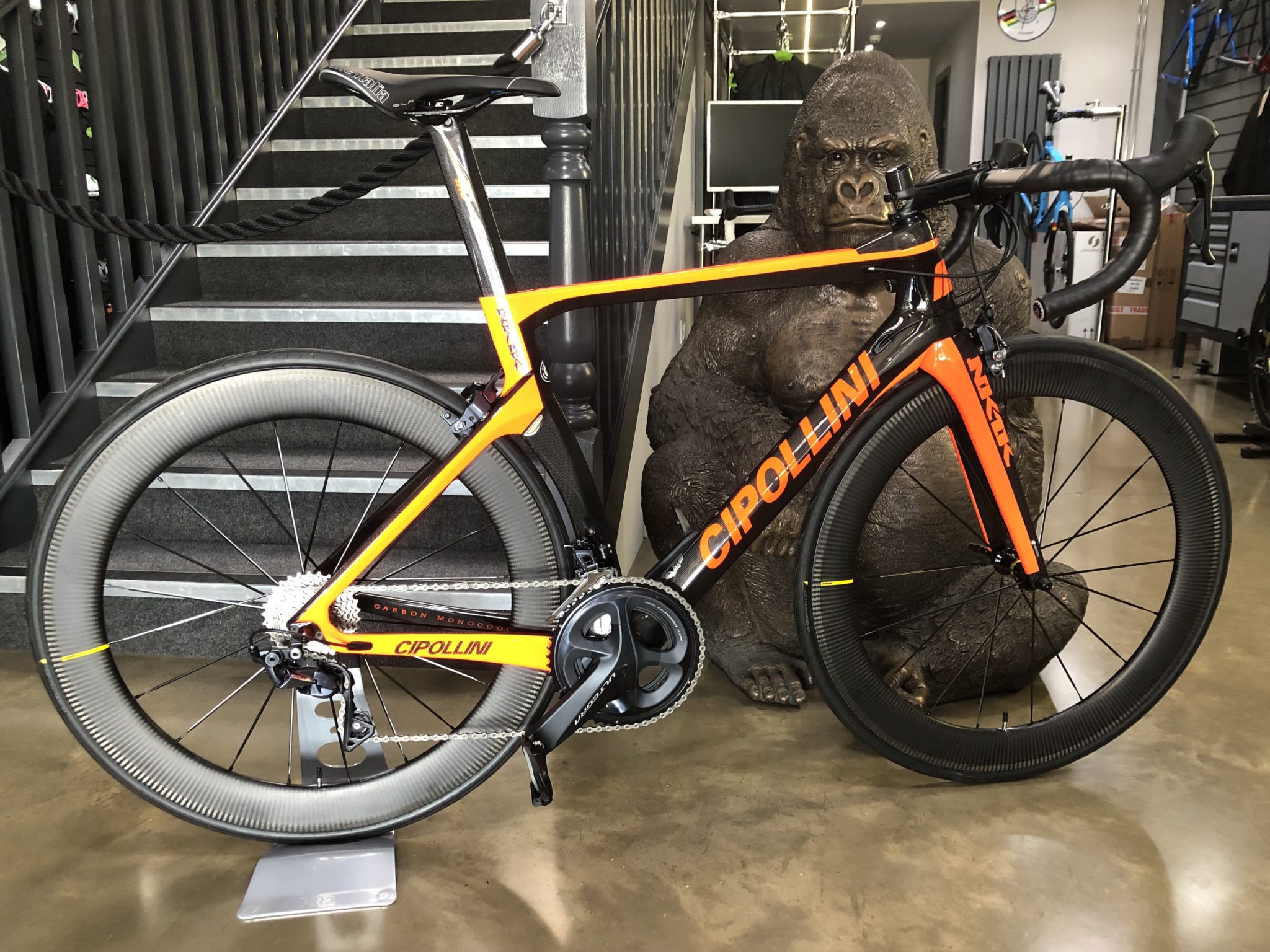 Cipollini NK1K Ultegra Mavic Deda Build The Gorilla Firm